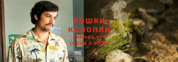 ГАЛЛЮЦИНОГЕННЫЕ ГРИБЫ Козловка