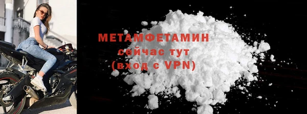 ГАЛЛЮЦИНОГЕННЫЕ ГРИБЫ Козловка