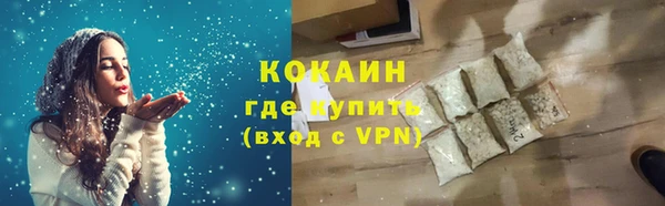 ГАЛЛЮЦИНОГЕННЫЕ ГРИБЫ Козловка