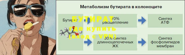 ГАЛЛЮЦИНОГЕННЫЕ ГРИБЫ Козловка