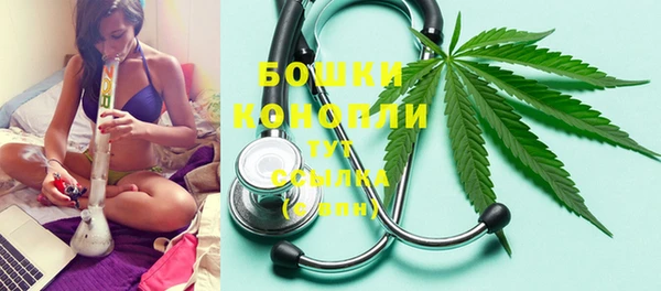 ГАЛЛЮЦИНОГЕННЫЕ ГРИБЫ Козловка