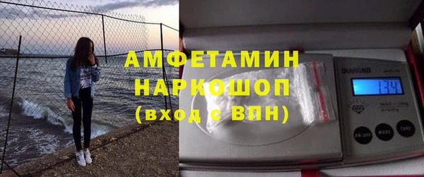 ГАЛЛЮЦИНОГЕННЫЕ ГРИБЫ Козловка