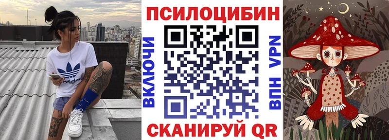 Купить где  Верещагино  Псилоцибиновые грибы Magic Shrooms 